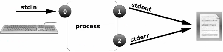 image-20260117170055916