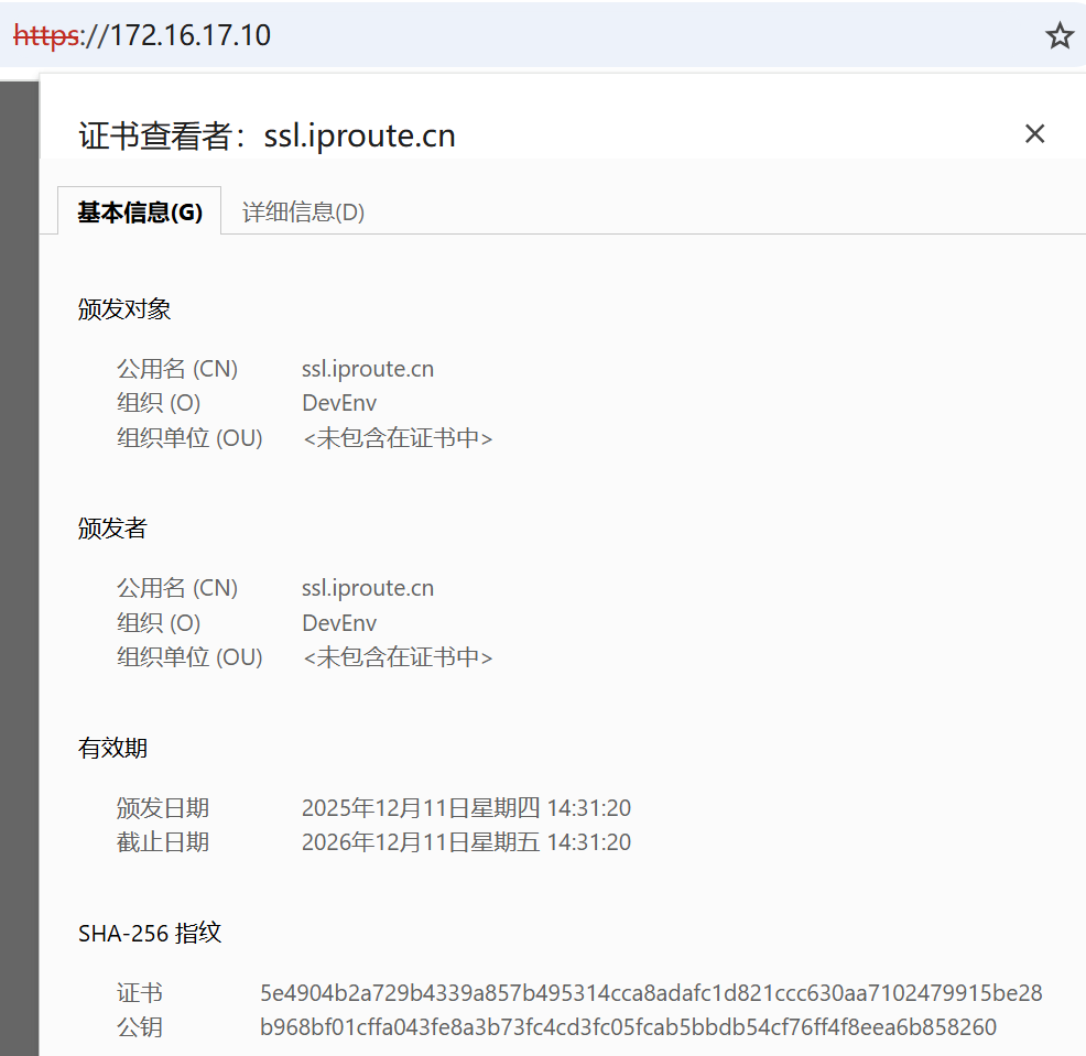 image-20251211143401123