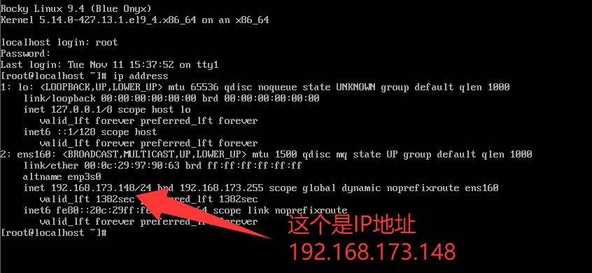 image-20251111153828418