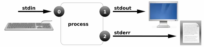 image-20260117170046332