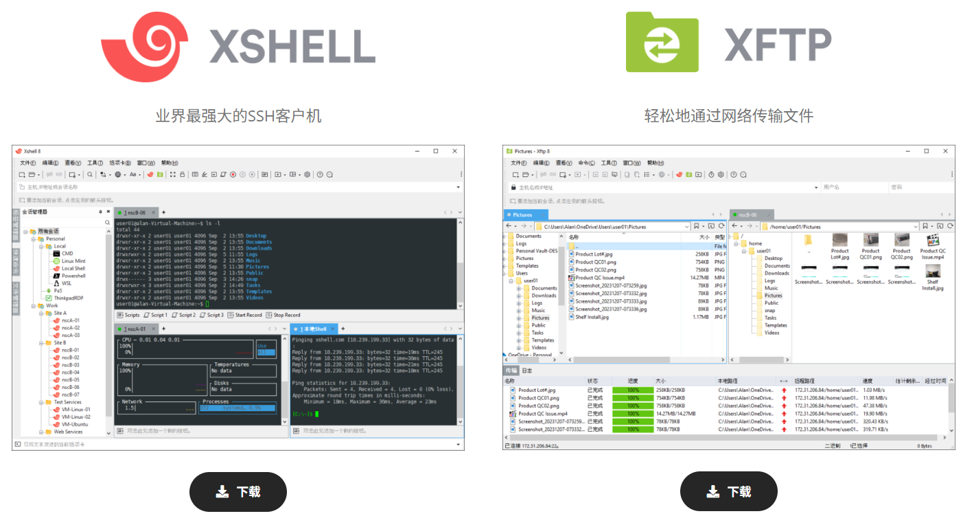 image-20251111153425344