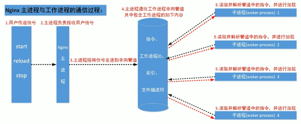 image-Nginx进程间通信.png