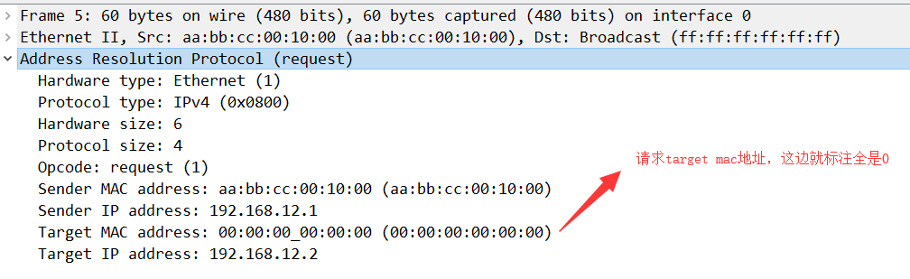image-20200307135548122