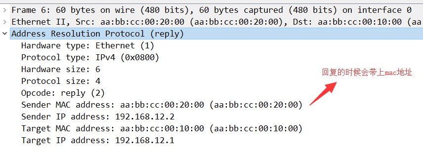 image-20200307135644395