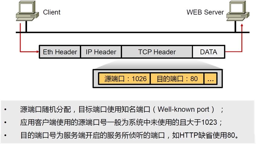 image-20200307150032747